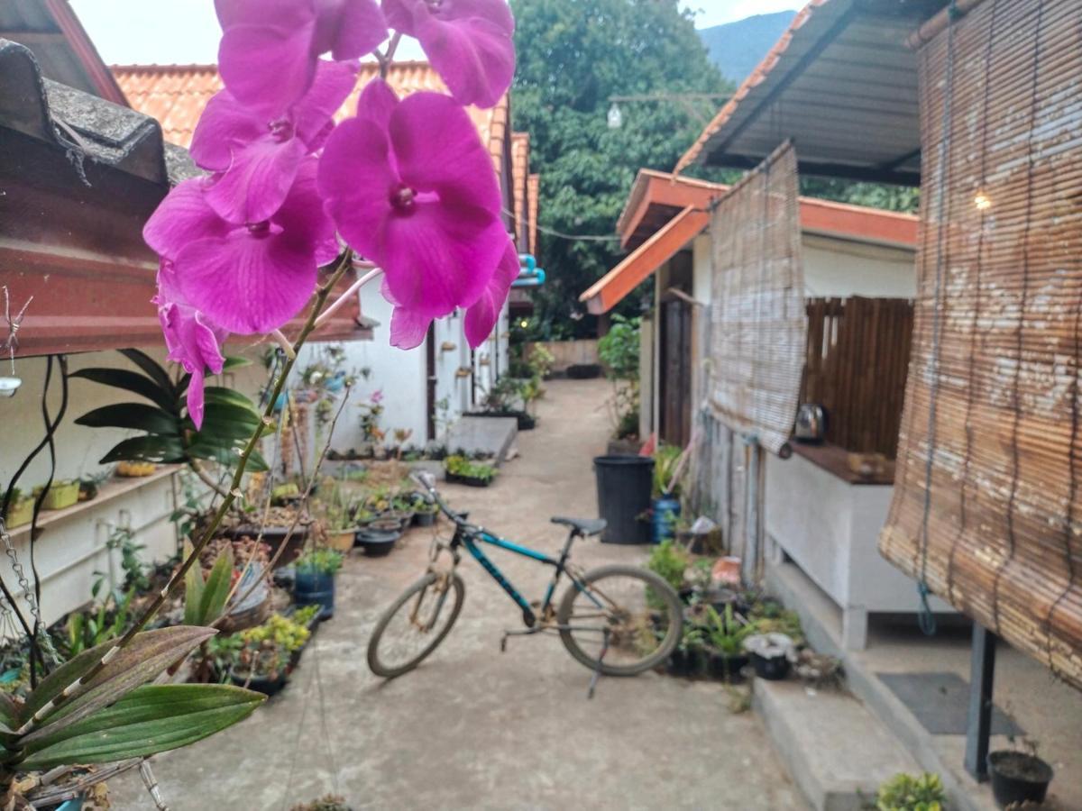 Pdv Guesthouse Muang Ngoi Exterior photo